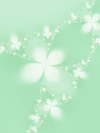 Beautiful flowersの写真素材