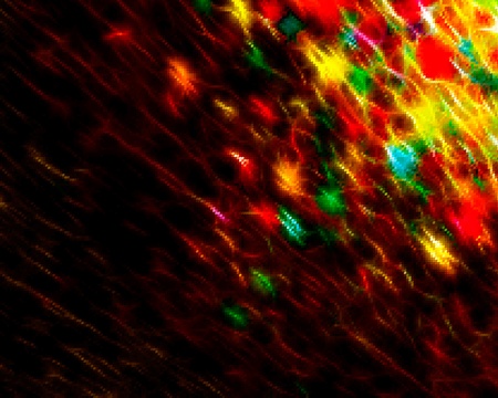 Abstract design colorful backgroundのイラスト素材