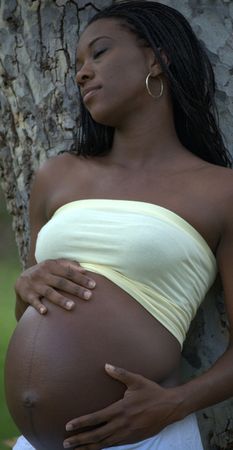 At the treeの写真素材