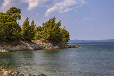 summer day by the seaの写真素材