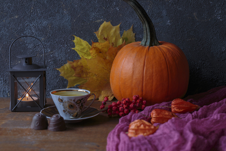 autumn compositionの写真素材