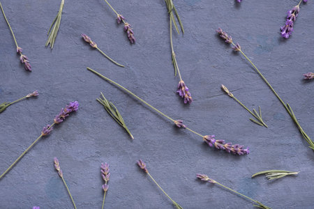 Pattern with lavender flowers on dark concrete background top view.の写真素材