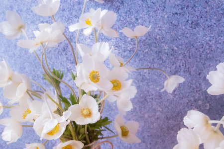 White anemones flowers still life greeting composition for spring, Mother's Day or March 8.の写真素材