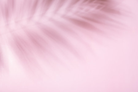 Tropical palm leaf shadow on a pink pastel background. summer backdrop.