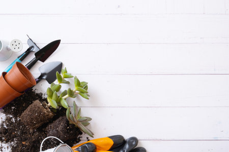 Home plants and the soil, pots and gardening tools flat lay, top view. Home gardening concept. copyspace.の写真素材