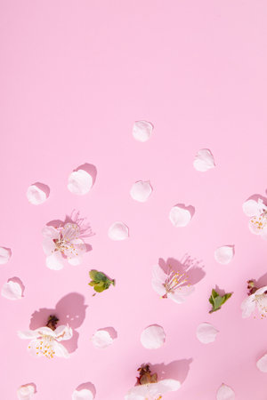 Pattern with delicate petals of cherry blossoms on a pink background. Beautiful spring vertical creative background.の写真素材