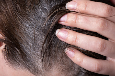 Close up of female hair with gray hair.の写真素材