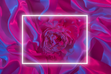 Top view of peony on satin fabric in neon light. Creative summer concept, background.