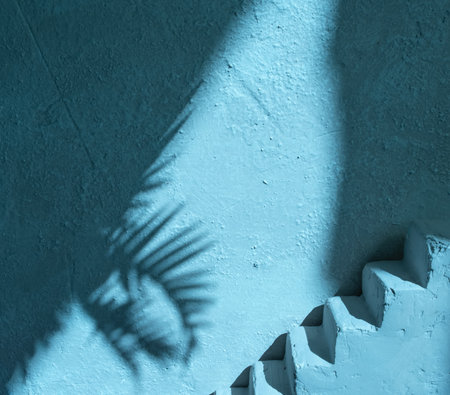 Blue concrete wall and shadow from palm trees. Abstract summer interior background.の写真素材