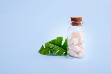Seashells in a mini bottle and tropical leaves. The concept of the sea, vacation, travelの写真素材
