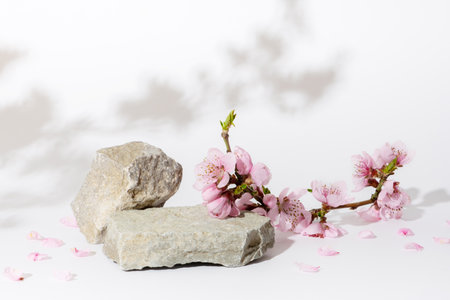 Podium or pedestal from nature stone decorated with cherry blossom twigs. cosmetic mockup.の写真素材