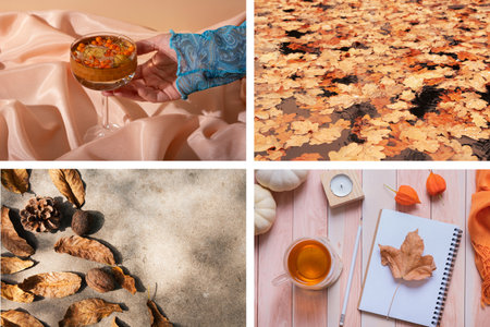 Autumn collage with shades of orange. Fall concept.の写真素材