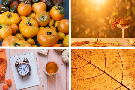 Autumn collage with shades of orange. Fall concept.の写真素材