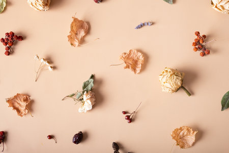 Autumn composition. Pattern made of dried leaves and flowers on pastel beige background. Autumn, fall concept. Flat lay, top view.の写真素材