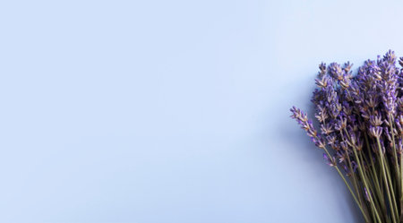 Flat lay lavender flowers in a bunch on a blue background with copy space in banner formatの写真素材