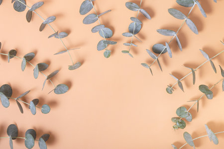 Eucalyptus leaves on an orange background. Blue green leaves on branches for abstract natural backdropの写真素材
