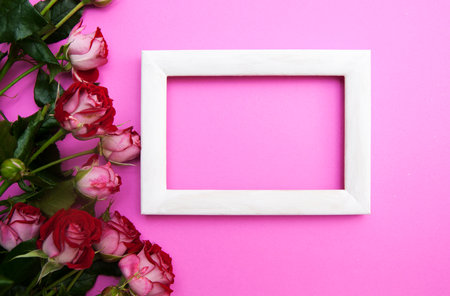 White frame and roses on a pink background. Copy space for text.の写真素材