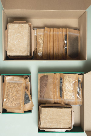 Three open boxes. Kits for growing sprouts from seeds.の写真素材