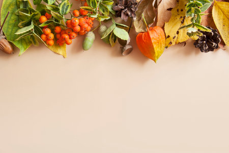 Autumn layout on a beige background. Yellow-green leaves, rowan, acorns. Copy space