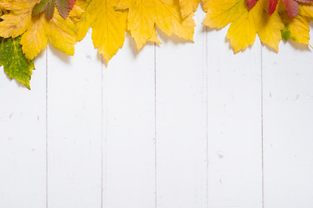 Multicolored autumn leaves on a wooden background. Copy space.の写真素材