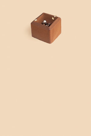 Chocolate mousse cake pattern on beige background.