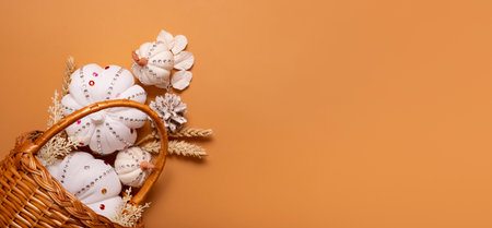 Banner with white decorative pumpkins with shiny stones and pine cones in basket on colored background with copy space.の写真素材