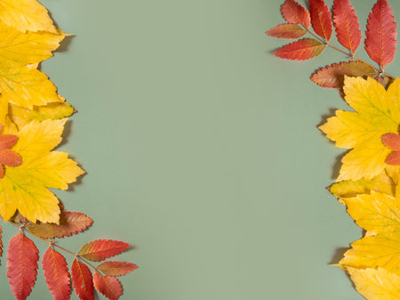 Frame made from fall leaves on colored background. Copy spaceの写真素材