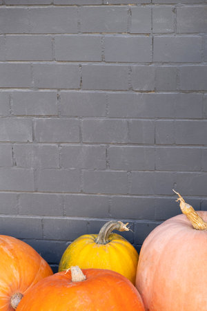 Large pumpkins on the background of a gray brick wall with copy spaceの写真素材