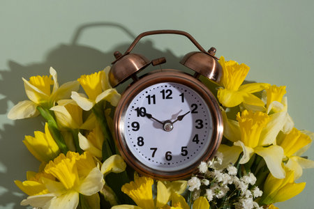 Alarm clock with yellow daffodils flowers top view; flat lay. Spring time, daylight savings concept,...