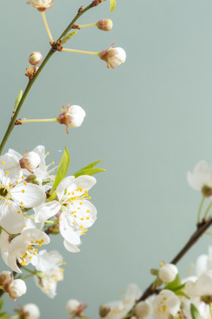 Beautiful spring flowers bloom on greeen background