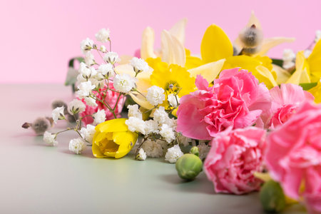 Spring flowers of narcissus, gypsophila and willow on a colored background.の写真素材