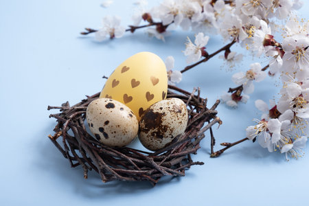 A nest with Easter eggs and a flower branch on a blue background. Easter symbols still lifeの写真素材