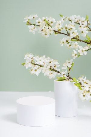 White podium or pedestal with spring bloom on green background.の写真素材