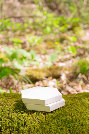 A simple white pedestal supports product packaging among vibrant green foliage in a tranquil outdoor environment. Sunlight filters through leaves, creating a peaceful atmosphere.の写真素材