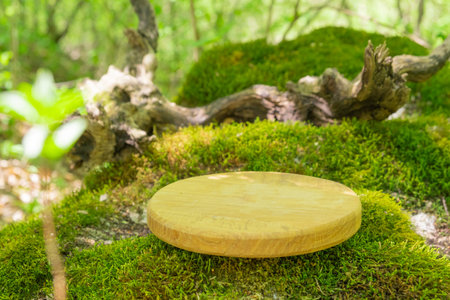 A round wooden pedestal rests on vibrant green moss in a serene woodland setting, illuminated by natural light filtering through the trees. The peaceful atmosphere enhances the product display.の写真素材