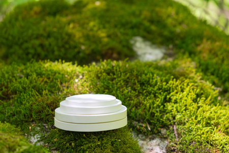 A round, white podium is positioned on a mossy surface in a forest. Surrounded by vibrant green leaves, it offers a natural display setting for products, highlighting eco-friendly presentations.の写真素材