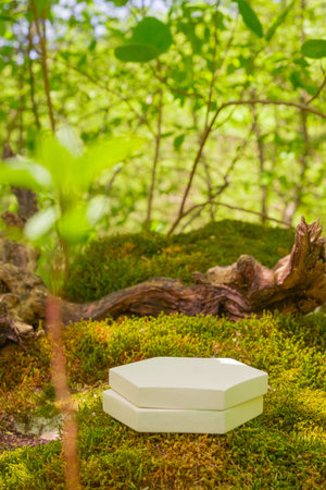 A simple white pedestal supports product packaging among vibrant green foliage in a tranquil outdoor environment. Sunlight filters through leaves, creating a peaceful atmosphere.の写真素材
