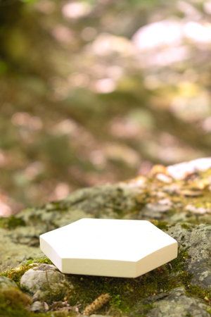 A hexagonal podium stands on a moss-covered stone in a lush environment, bathed in soft daylight, highlighting its minimalist design and natural surroundings.の写真素材