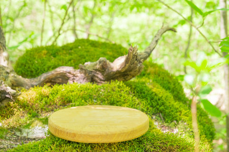 Empty wooden podium on mossy ground in tranquil forest setting surrounded by greenery and natural beautyの写真素材