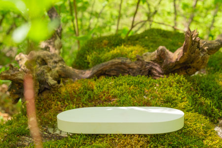 Empry podium for displaying products in lush forest setting with vibrant greenery and soft moss under bright sunlightの写真素材