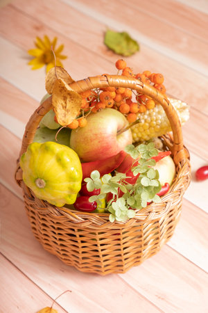 Autumn harvest basket with corn, apples, zucchini and peppers on a wooden background decorated with autumn leaves and mountain ashの写真素材