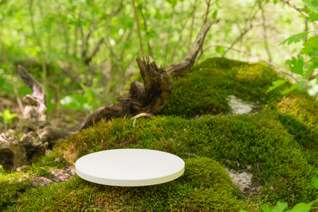 A minimalist podium stands prominently on vibrant green moss, surrounded by lush foliage in a tranquil forest setting, illuminated by soft natural light.の写真素材