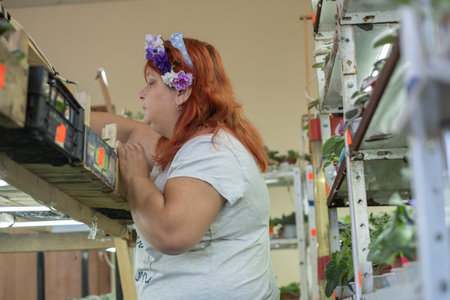 A woman with red hair and a flower crown places plants on shelves in a greenhouse. She focuses on arranging them neatly. The space is bright and filled with greenery.の写真素材