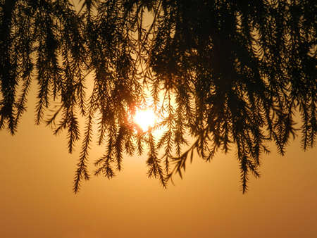 Sunset Silhouetteの写真素材