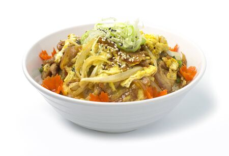 Butadon or Stir fried pork and egg on rice Japanese food fusion style decorate carved carrot side viewの写真素材
