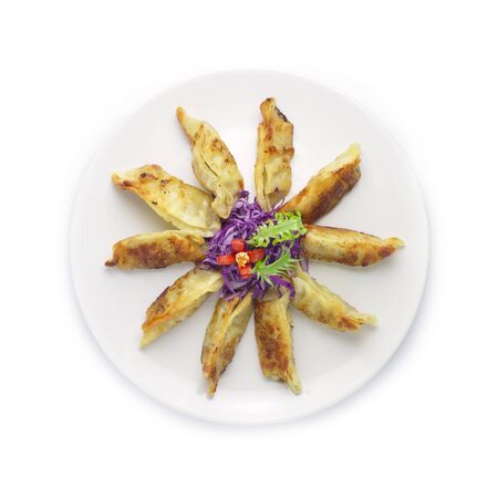 Gyoza  fried dumplings Japanese style  appetizer traditional food tasty for party holiday time top viewの写真素材