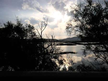Sunset in SantoÃ±a marshesの写真素材