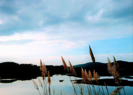 Sunset in SantoÃ±a marshes