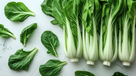 A Symphony of Fresh Bok Choy: Nature's Green and White Eleganceの素材