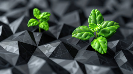 "Emergence of Life Amidst Geometric Terrain"の素材